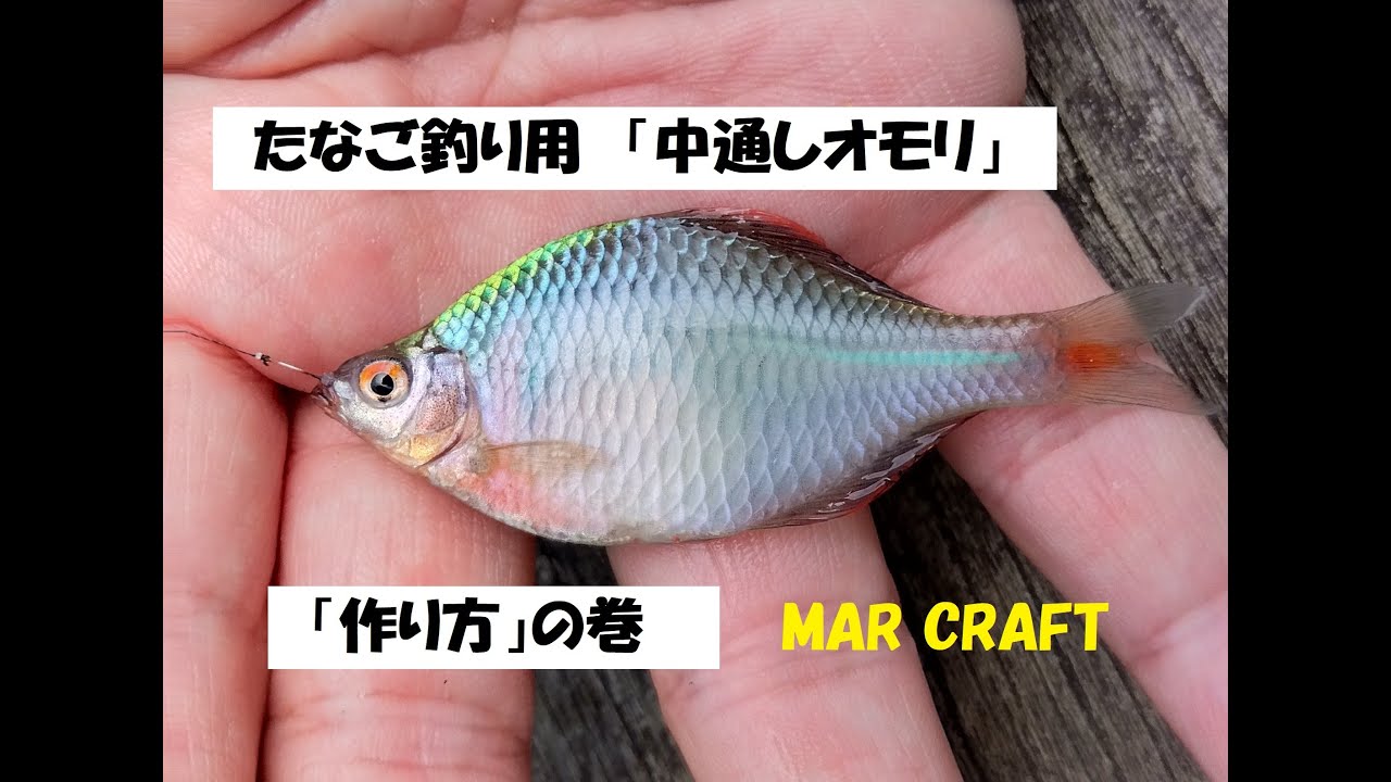 タナゴ釣り（小物釣り用）「中通しオモリ」