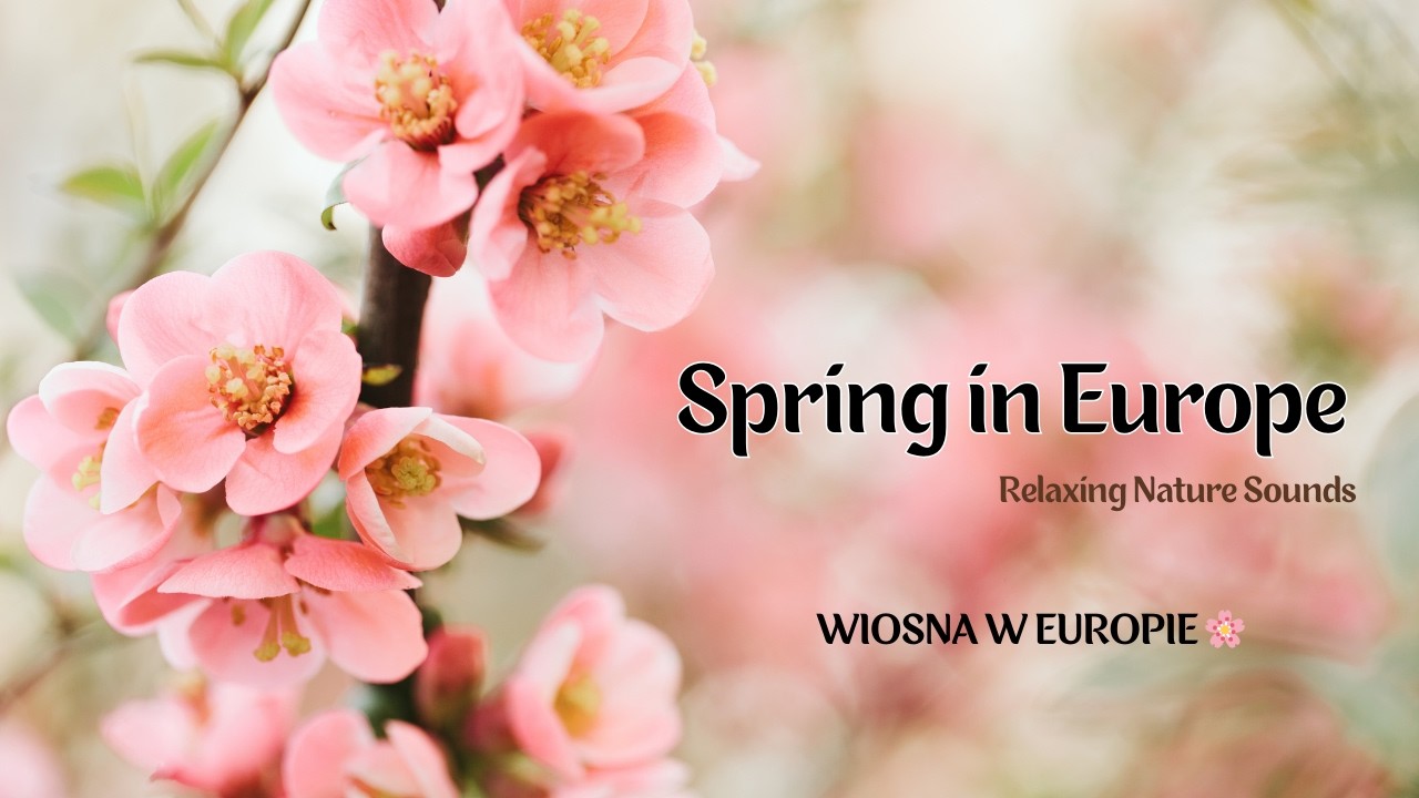 Spring in Europe | Relaxing Nature & Ambient Sounds |  Wiosna w Europie | Relaksujące Dźwięki Natury