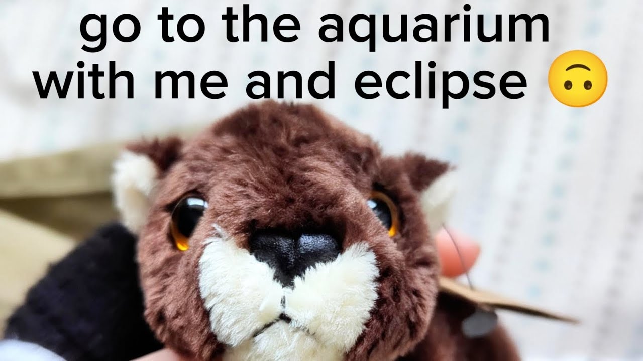 Bad post ik 😞 - any post ideas? - go to the aquarium with me and eclipse 🦈 #essa #aquarium #otters 