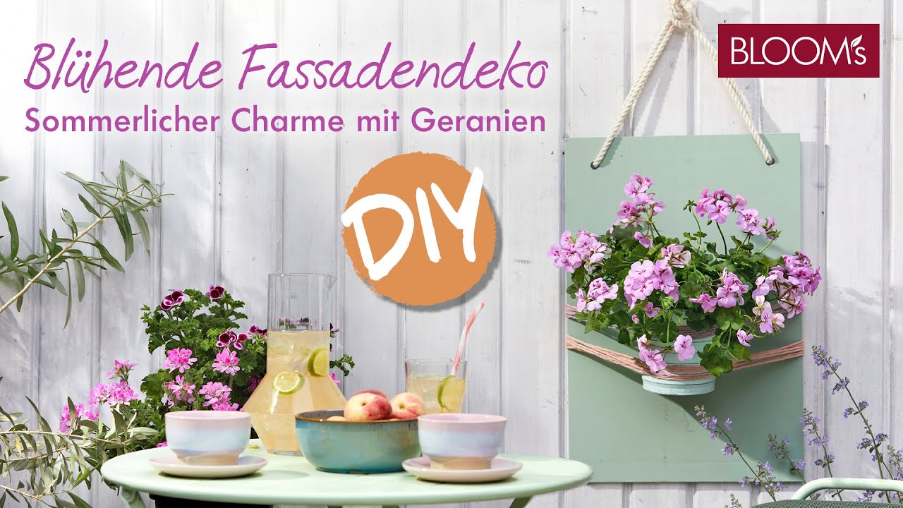 Blühende Terrassendeko: Sommerlicher Charme mit Geranien | Balkondeko | Sommerdeko | Bepflanzung