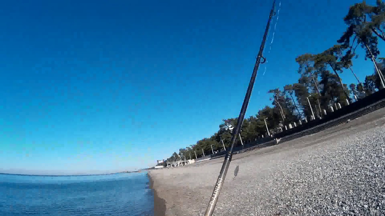 (Kobuleti skumbria 20.11.2016) ( სკუმბრია ქობულეთში 20.11.2016)