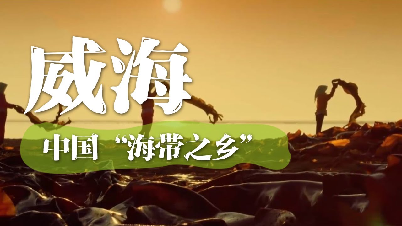 【山东威海】中国“海带之乡” 一起来品尝大海的味道 体验海草房 | 中华地图