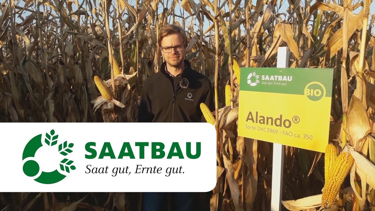 ALANDO&reg; - Kurz und gut