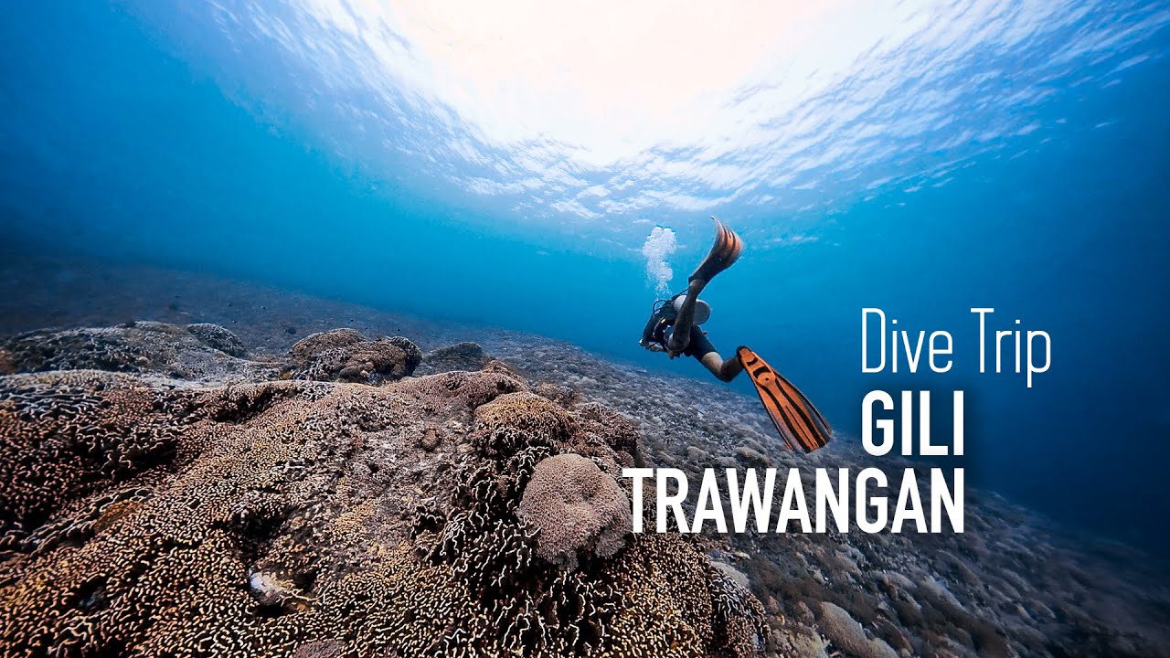 VLOG | Gili Trawangan Dive Trip