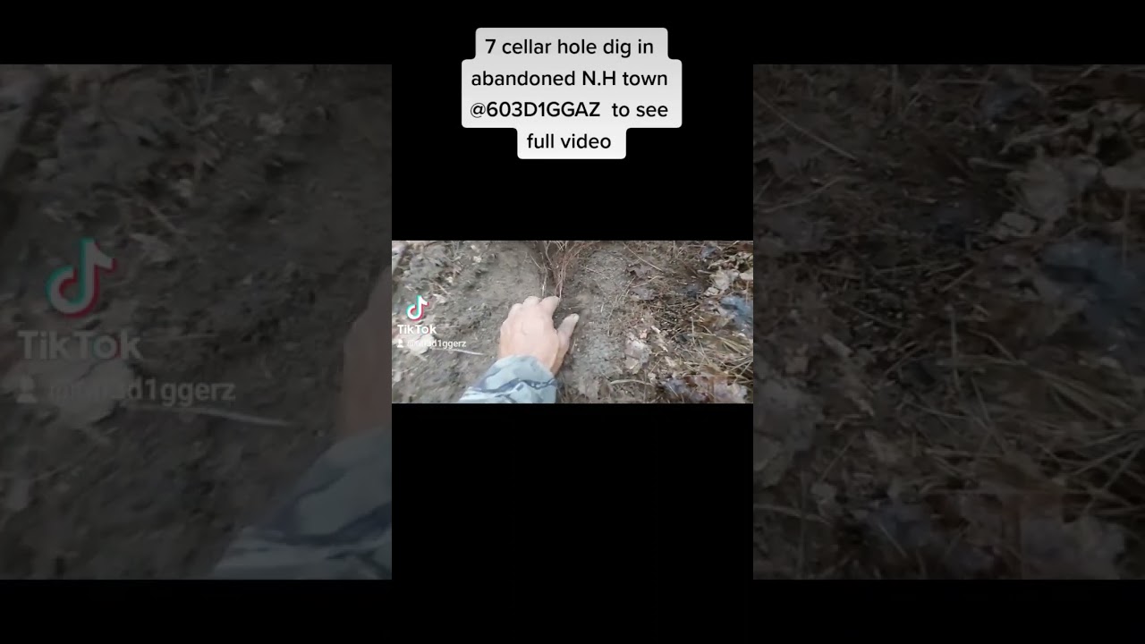 7 cellar hole investigation