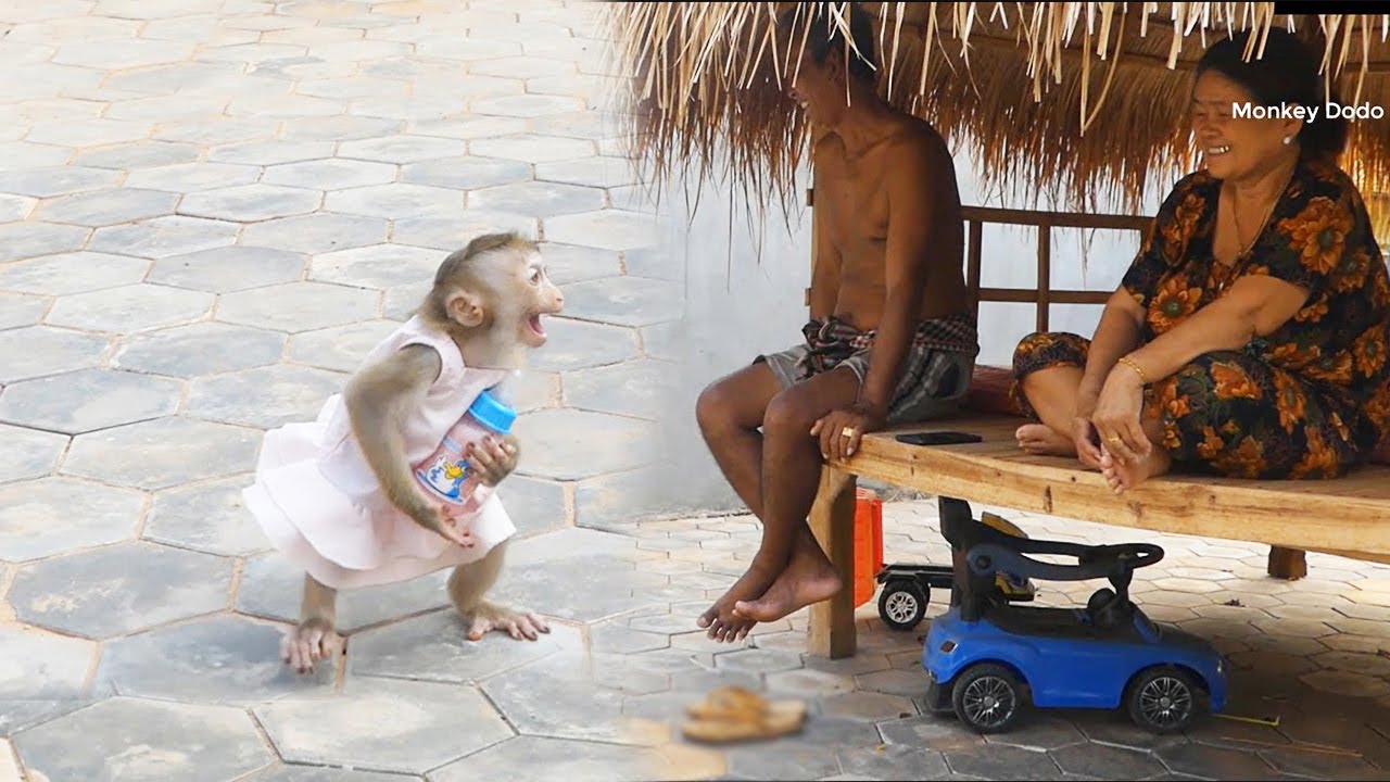Wow Zuji Strangely Reacti0n When First Meet Grandparent Outside