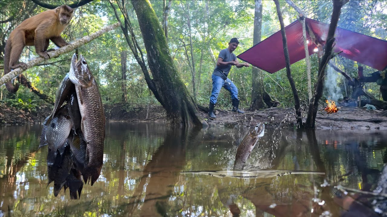 CHUVA FORTE na mata e pescaria depois da TEMPESTADE: Fui surpreendido com MUITOS PEIXES