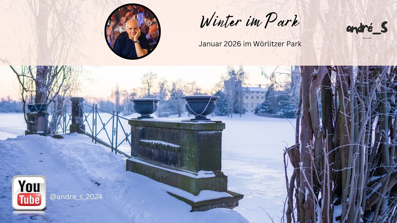 Winter im Park