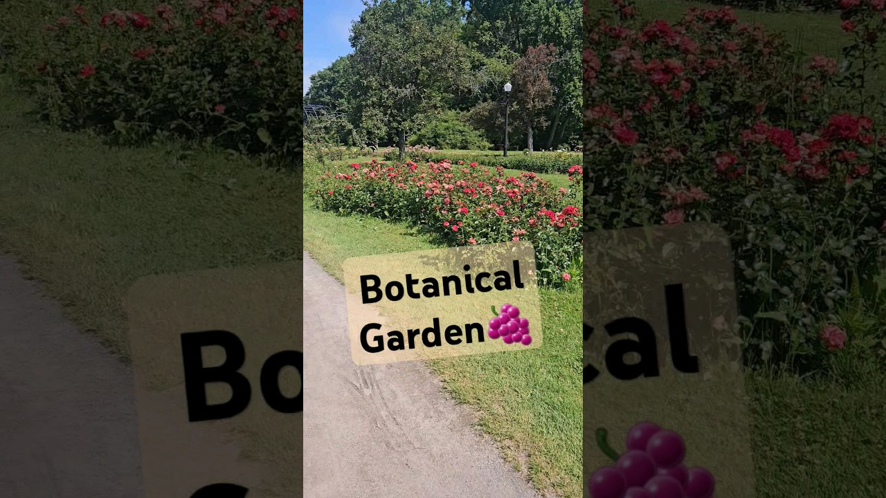 Exploring the World&rsquo;s Largest Botanical Garden!