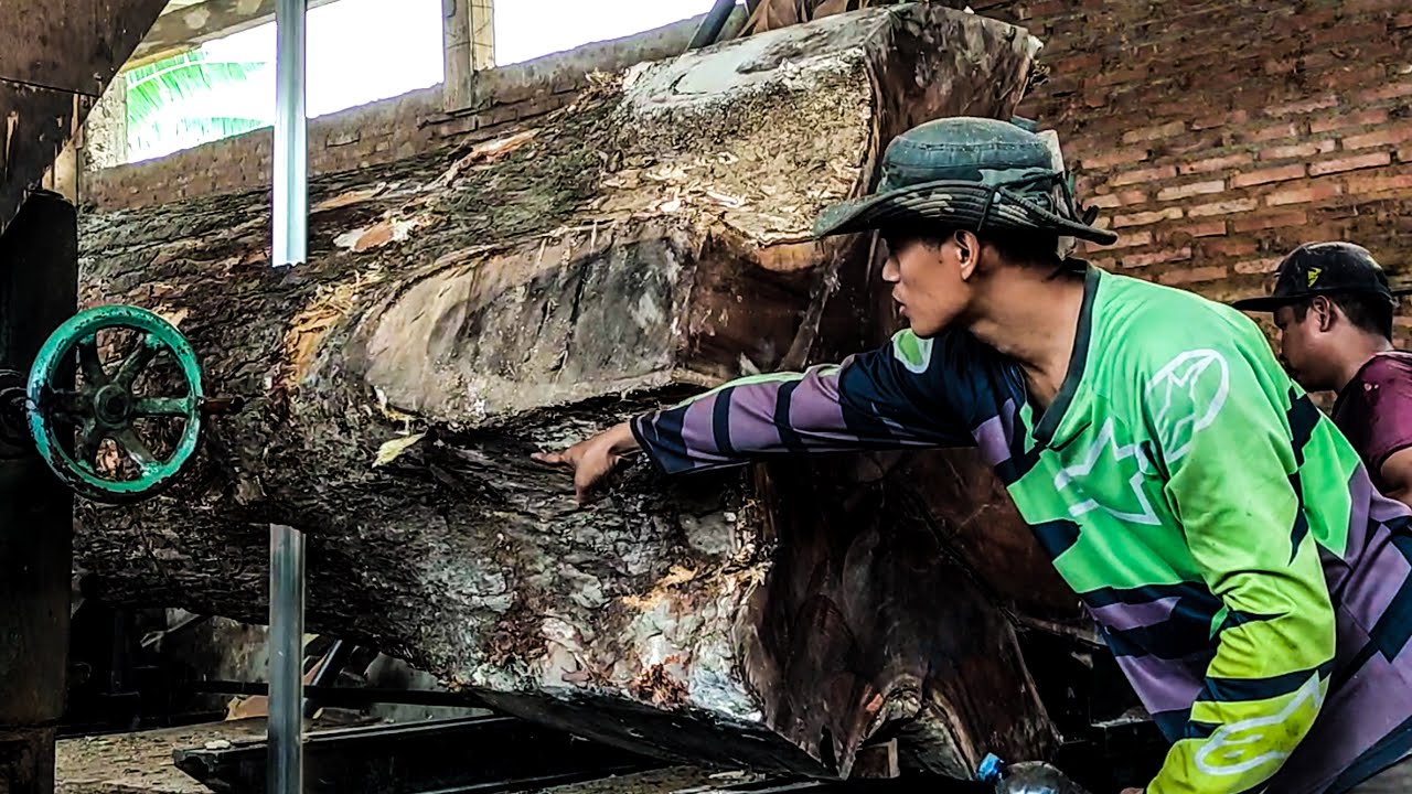 Los Angeles&rsquo; Hidden Lumber Mill &ndash; Producing the Finest Trembesi Wood Ever