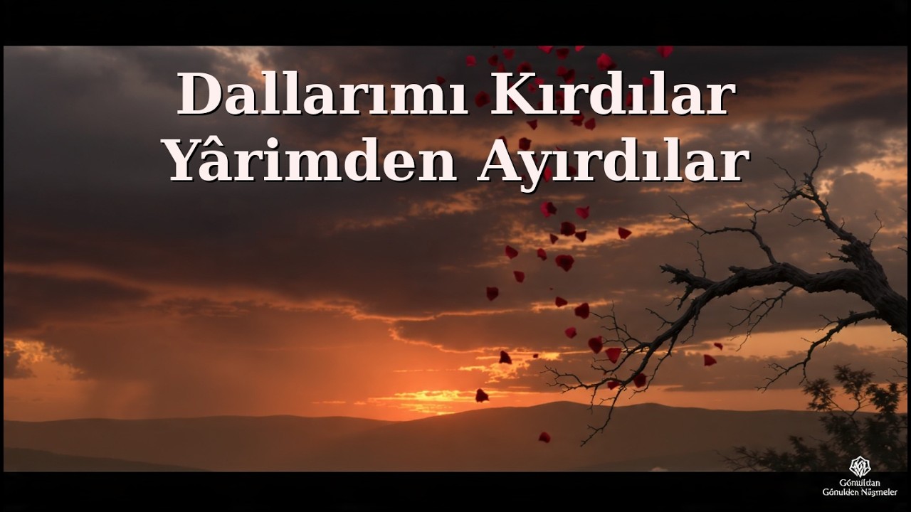 Dallarımı kırdılar Yârimden ayırdılar (Cover)