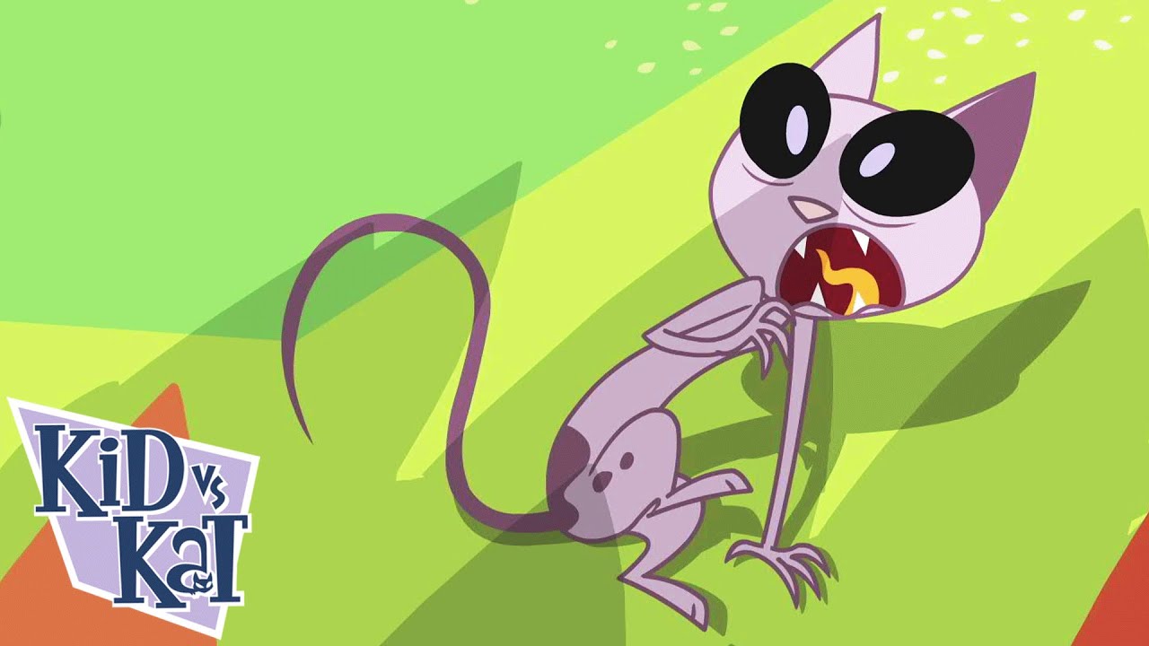 El rey de los enclenques | Niño Vs. Gato - WildBrain | Películas para niños
