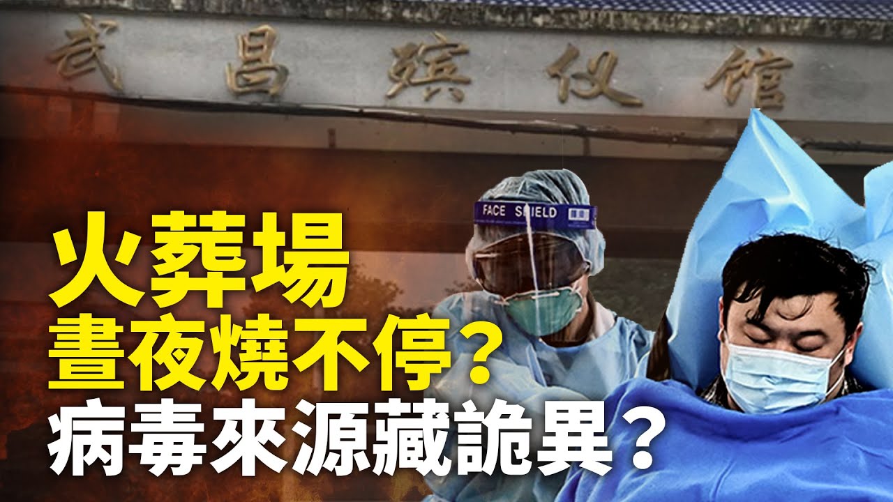 【解讀】武漢肺炎致死率有多高？火葬場為何晝夜燒不停？病毒來源藏詭異？｜世界的十字路口 唐浩