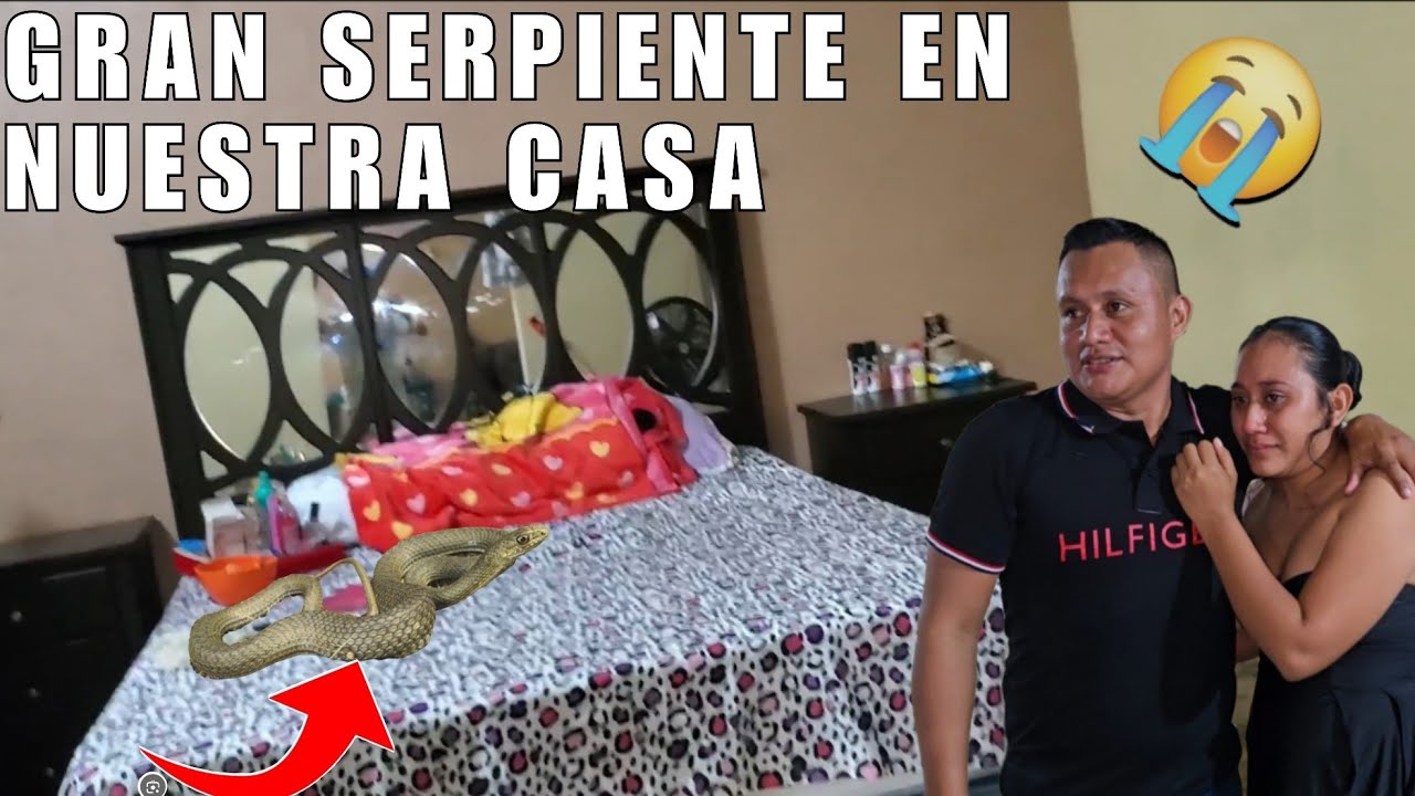 Urgente🚨Gran Serpiente Entro Ha Nuestra Casa😭Llorando Emy  Llamo Ha Edy🥺