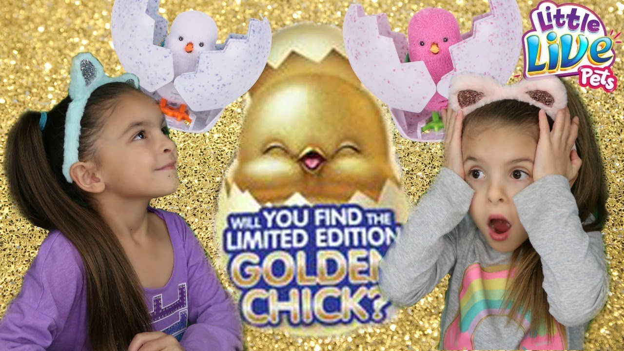 LITTLE LIVE PETS SURPRISE CHICKS HATCH - LIMITED EDITION GOLDEN SURPRISE RARE CHICK?