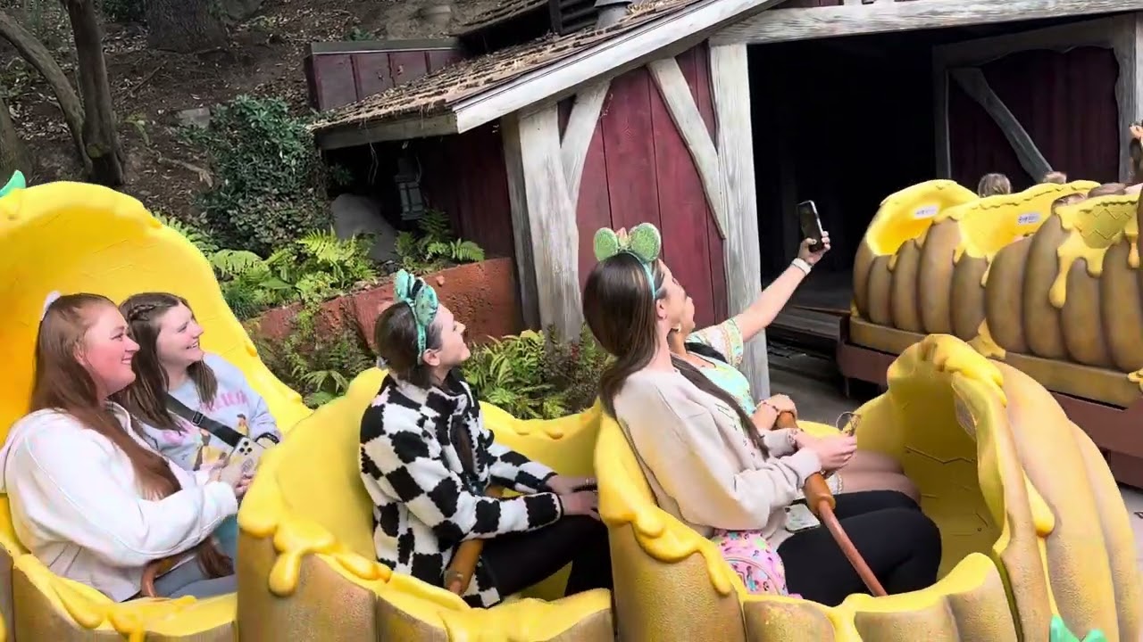 The Many Adventures of Winnie the Pooh - Disneyland 2025