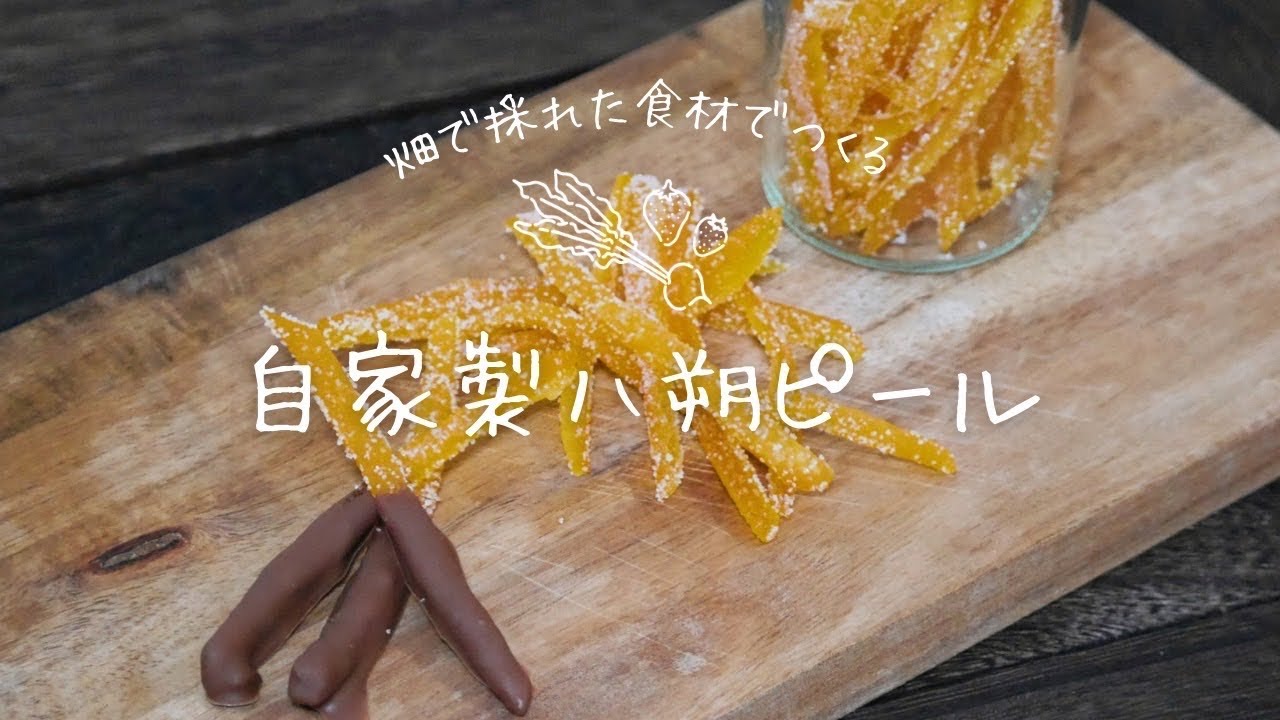 畑でとれた八朔で【自家製八朔ピール】を作ってみました