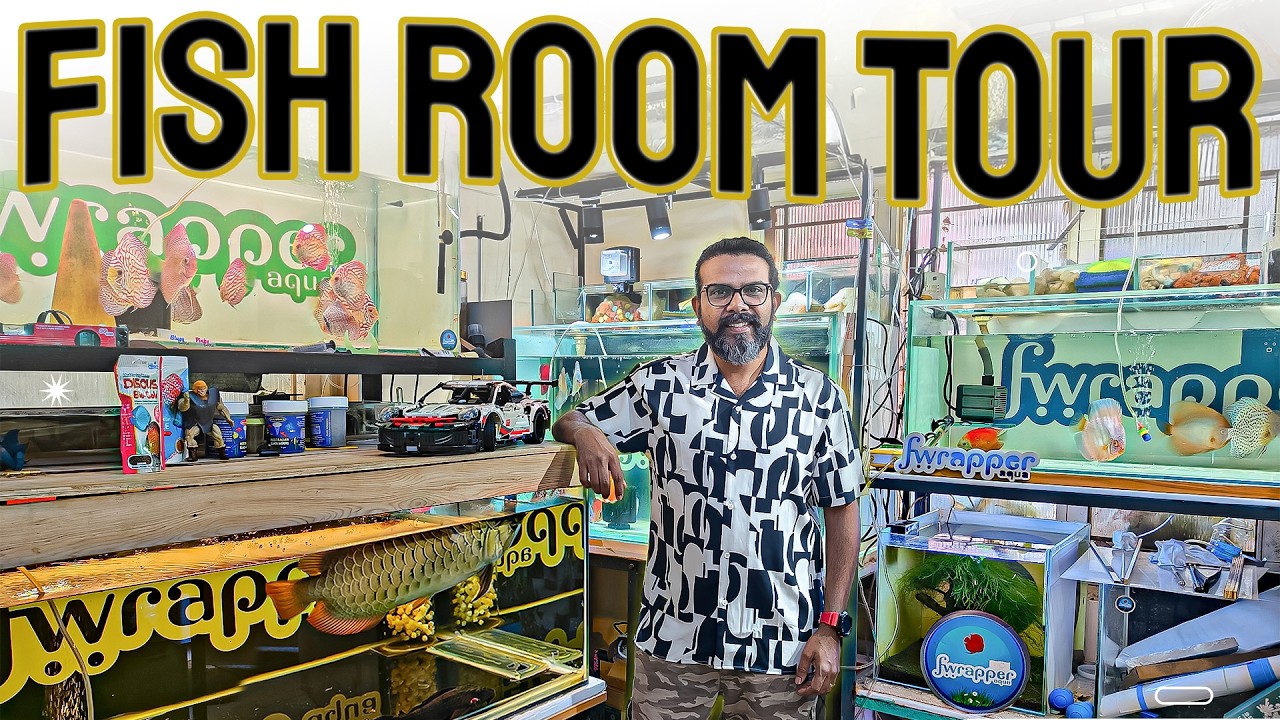 Fwrapper Aqua Fish Room Tour : Discus, Arowana, Marine Fish, Betta & Guppies!