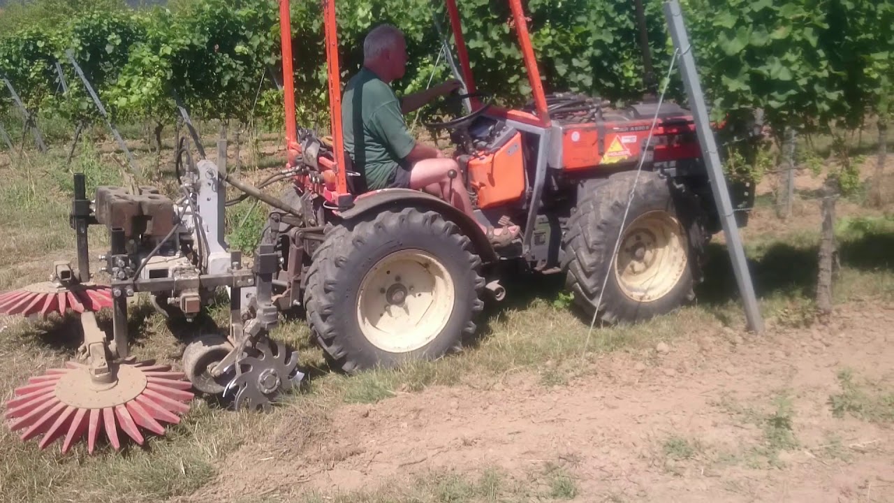 Theilmann-Landtechnik Rollhacke und Fingerhacke mit Pendellagerung im Weinbau