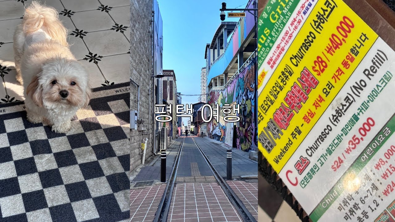 평택 여행 / 새해 복 많이요 / 슈하스코 / 카페 추천 / 부대찌개 맛집 / 국내 여행