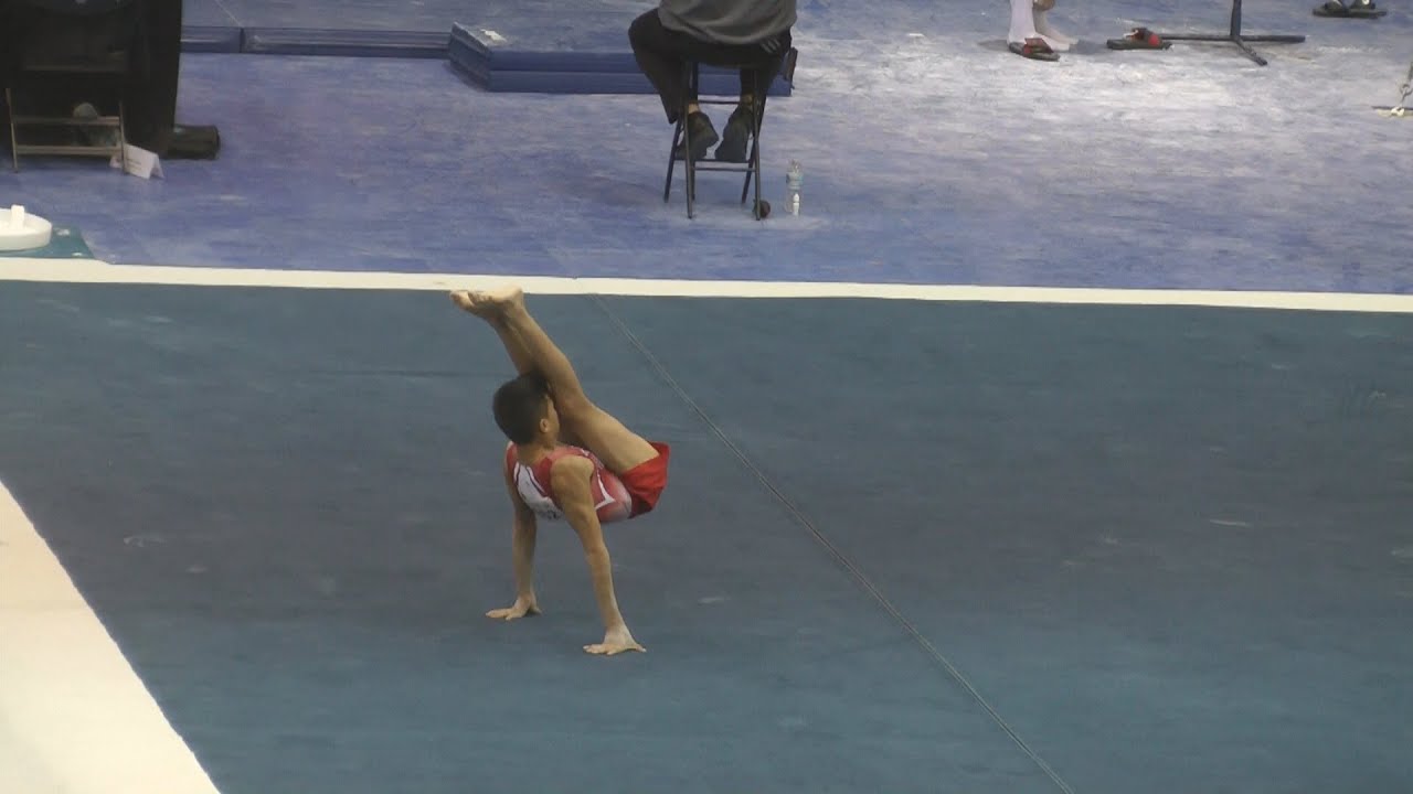 Travis Wong - 2016 JO Nationals - Level 9 JE