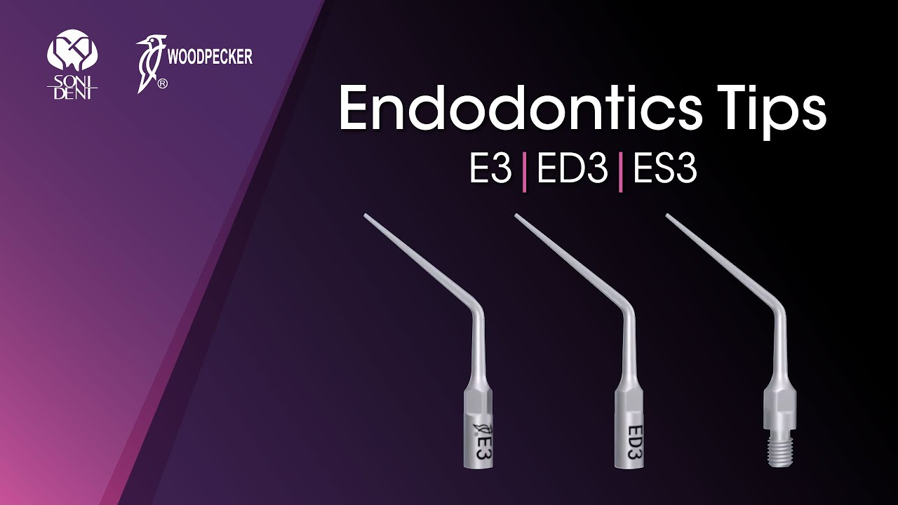 Woodpecker Endodontics Tips: E3, ED3, ES3 