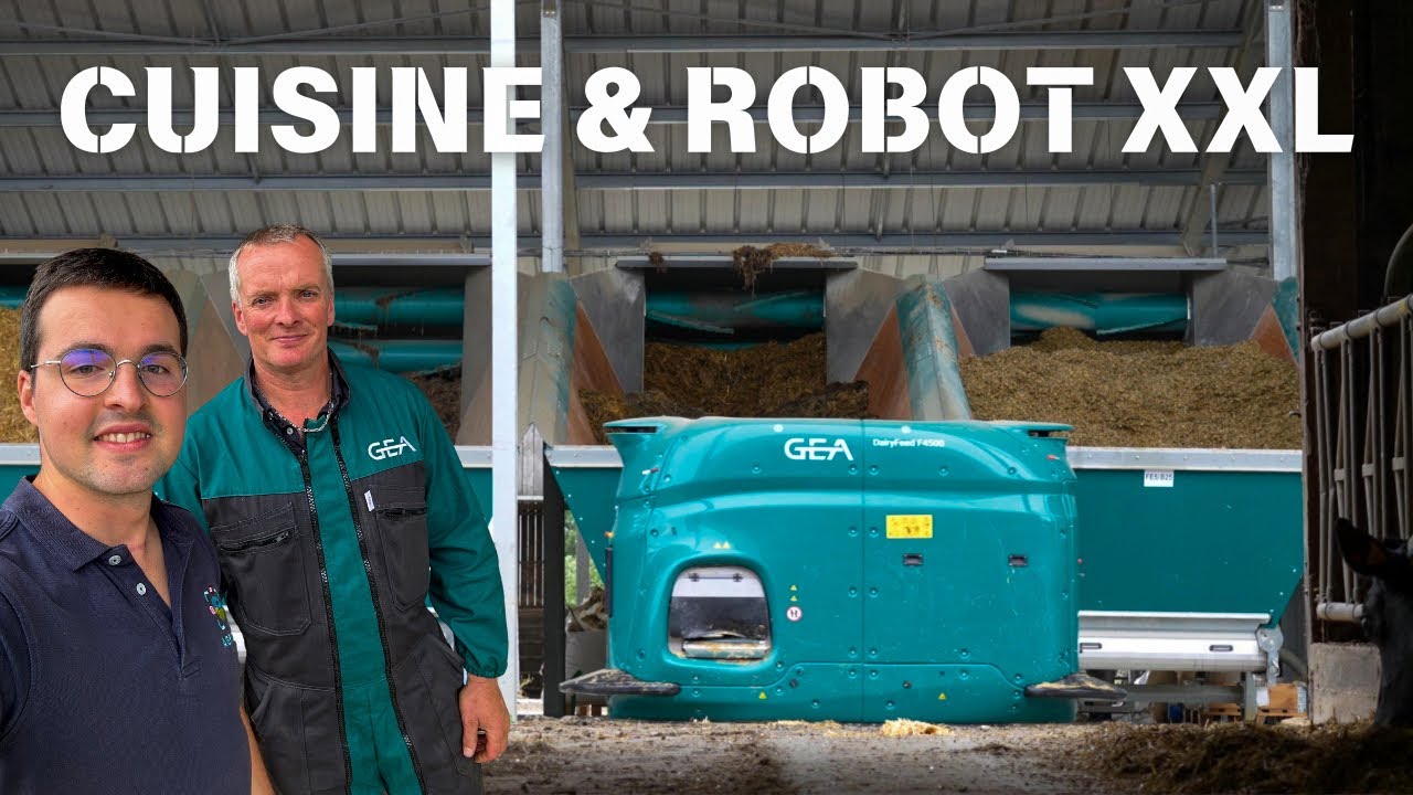 Cuisine & Robot XXL pour les Vaches 😳🐮