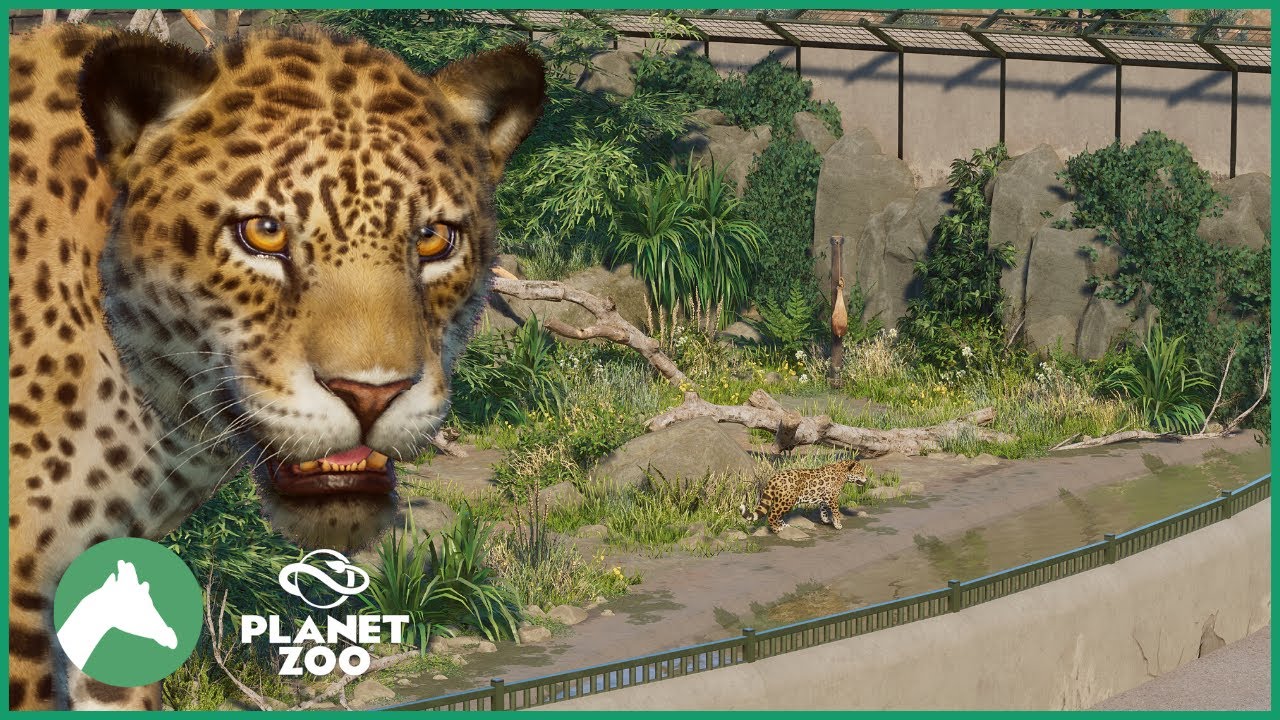 Jaguar Habitat | Elm Hill City Zoo | Planet Zoo