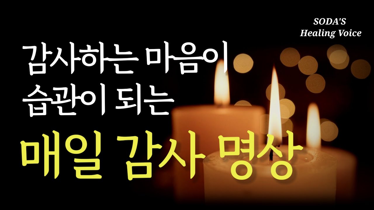 [감사명상] 부, 건강, 행복 이 모든 걸 끌어당기는 감사, 지금 바로 실천해보세요! / 감사할 일들이 점점 더 늘어납니다!🙏 / 중간 광고 없음 / Healing ASMR