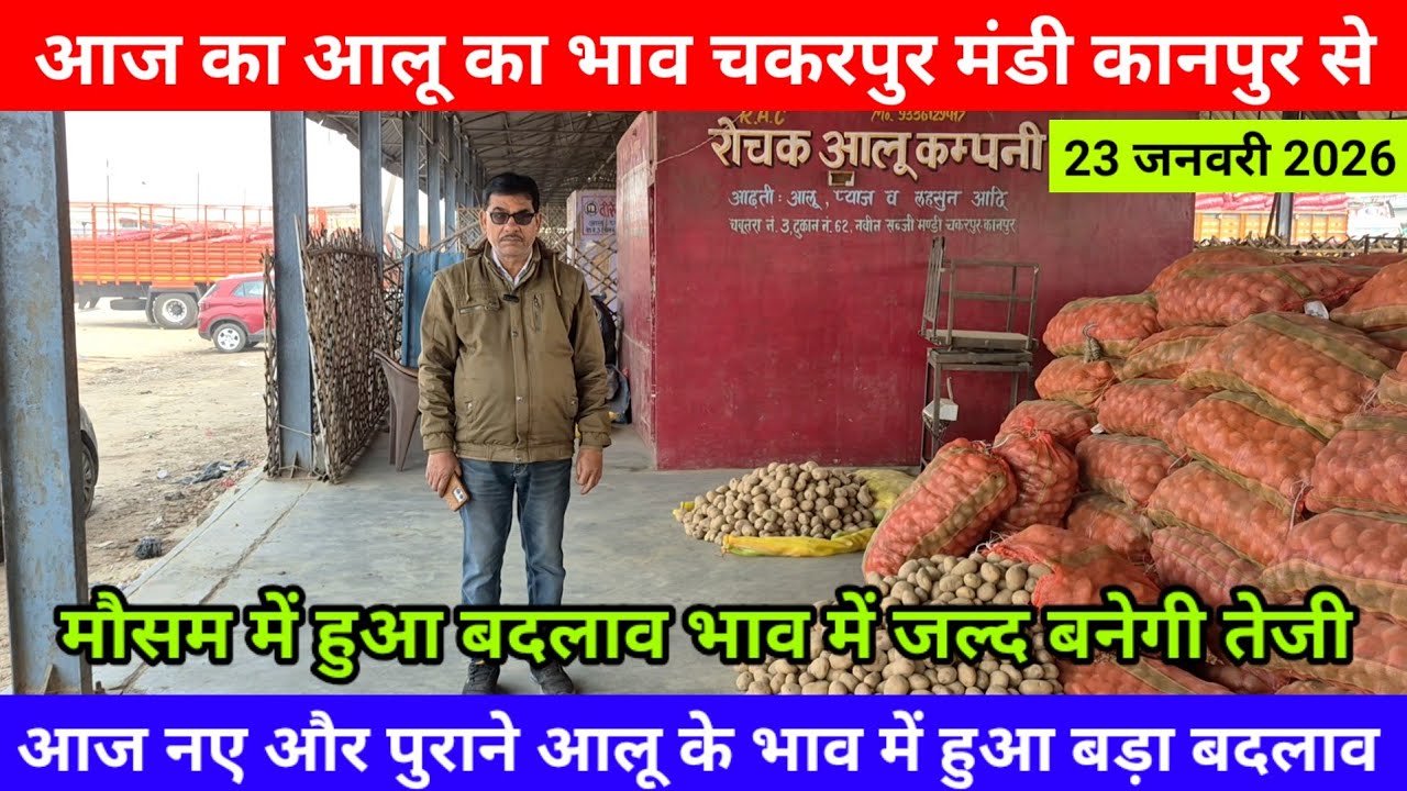 आज का आलू का भाव चकरपुर मंडी कानपुर से मौसम में हुआ बदलाव भाव में जल्द बनेगी तेजी Aalu Ka Bhav