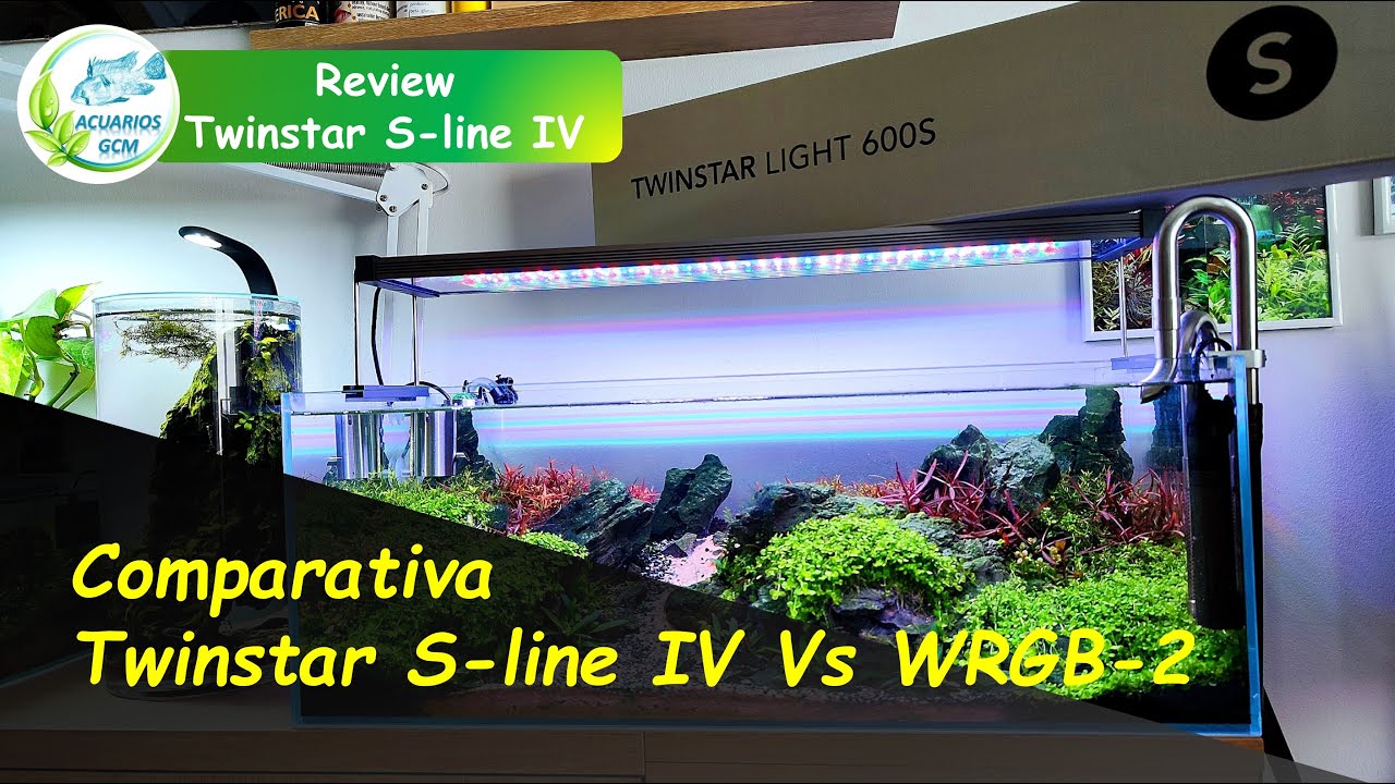 Review TWINSTAR 600S IV: Comparativa y Rendimientos Productos Twinstar Vs Chihiros