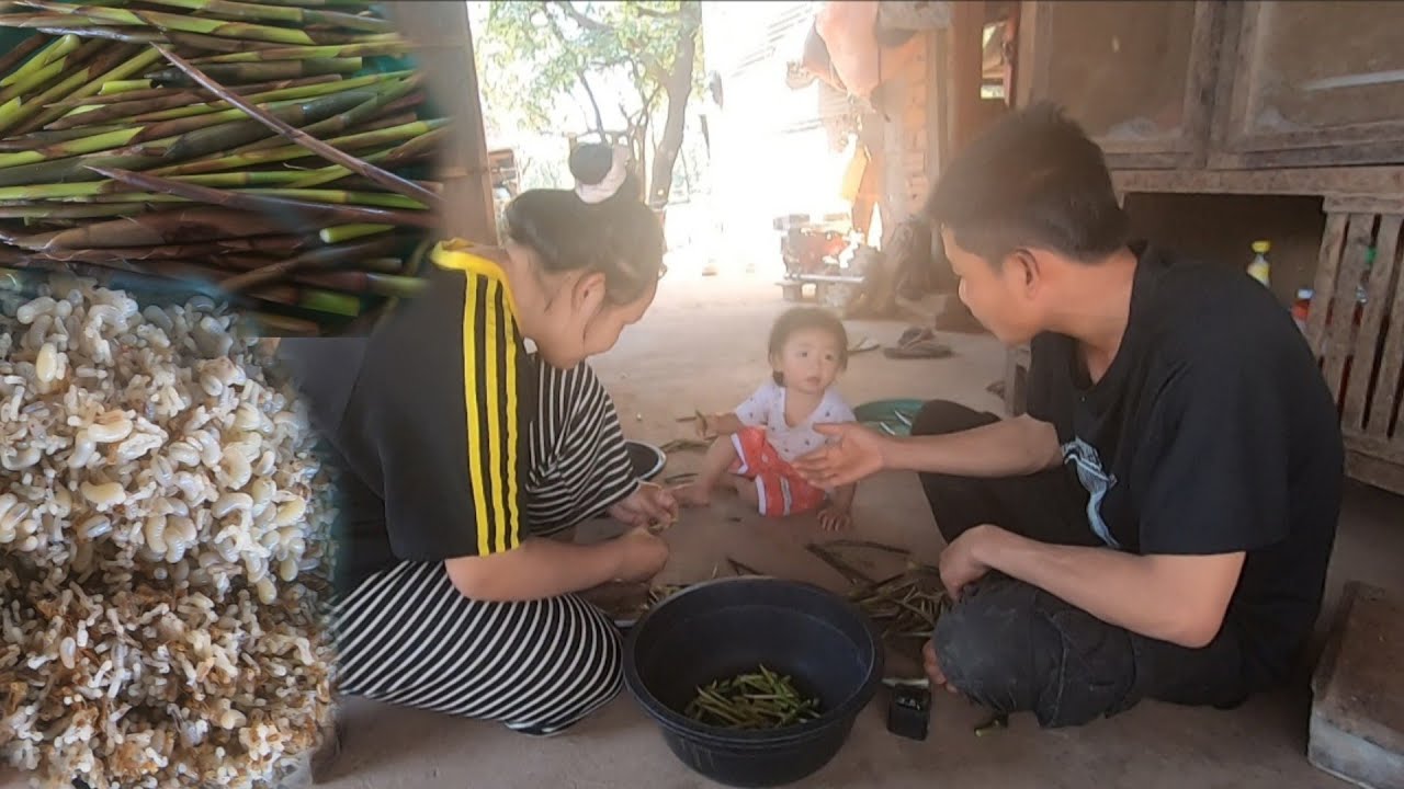 แกงหน่อไม้ใส่ไข่มดแดง