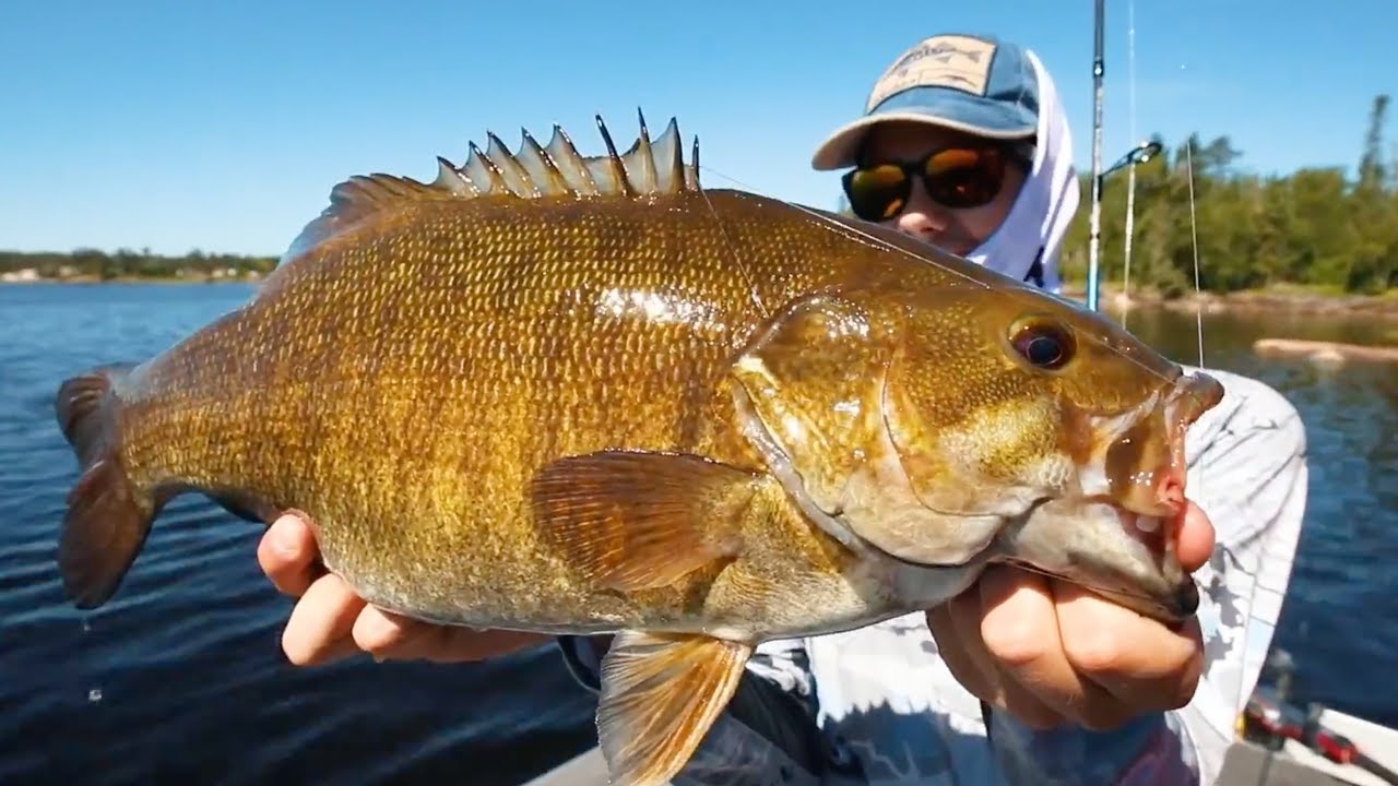 Personal Best!! (FT. Tylersreelfising) - Nopiming Park Smallmouth Bass
