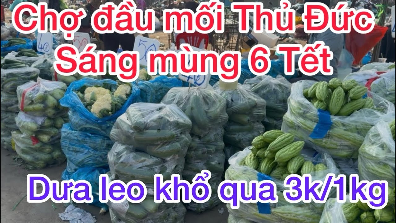 Cập Nhật giá sỉ lẻ rau củ tại chợ đầu mối thủ Đức sáng mùng 6 Tết rau củ rẻ như cho 