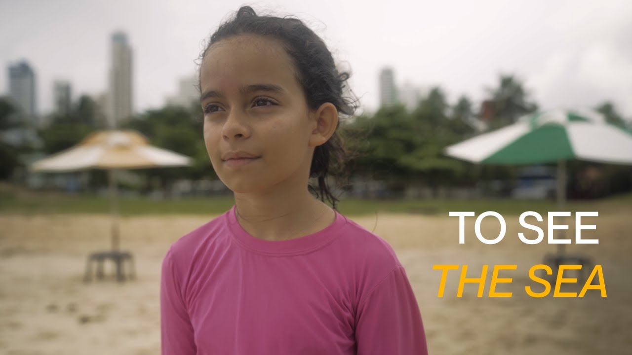 To See the Sea (Brazil)