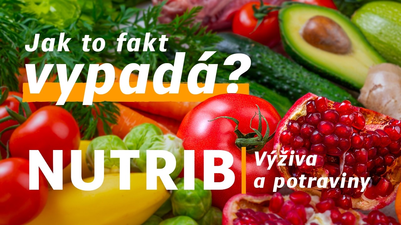 Výživa a potraviny na ČZU — jak to fakt vypadá? | Studentky programu NUTRIB