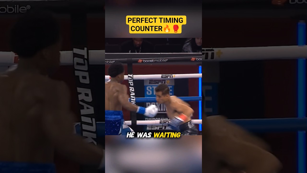 PERFECT TIMING COUNTER