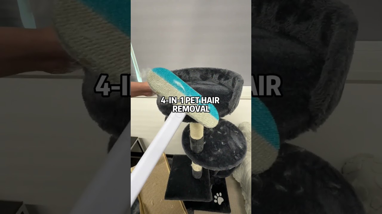 pet hair removal? window squeegee? yes, it`s up to you.#pethairremoval #windowcleaning #cat