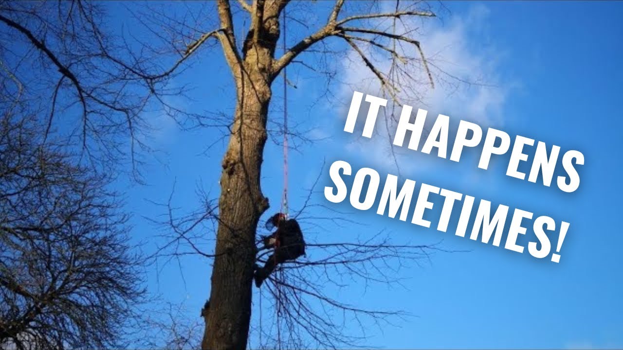Oak reduction and harsh reality 