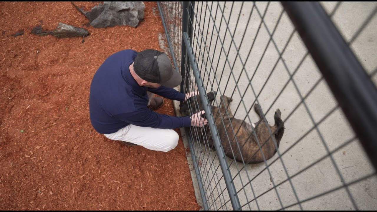 K9 PTSD Lawsuit story