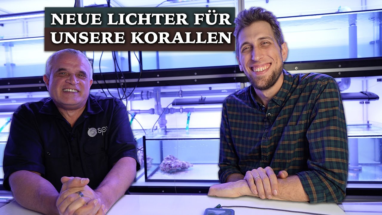 Wir bekommen volle Kontrolle - Neue LED's für unsere Korallenfarm 🪸