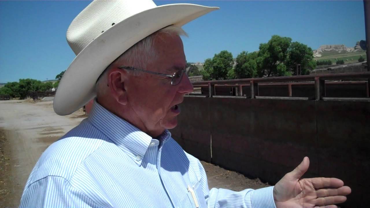 Feedlots wrestle with many regulations