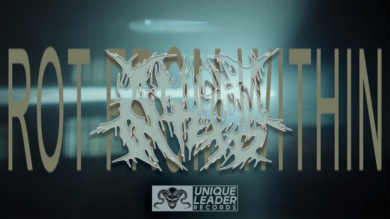A Night in Texas - Rot From Within (Official Video)