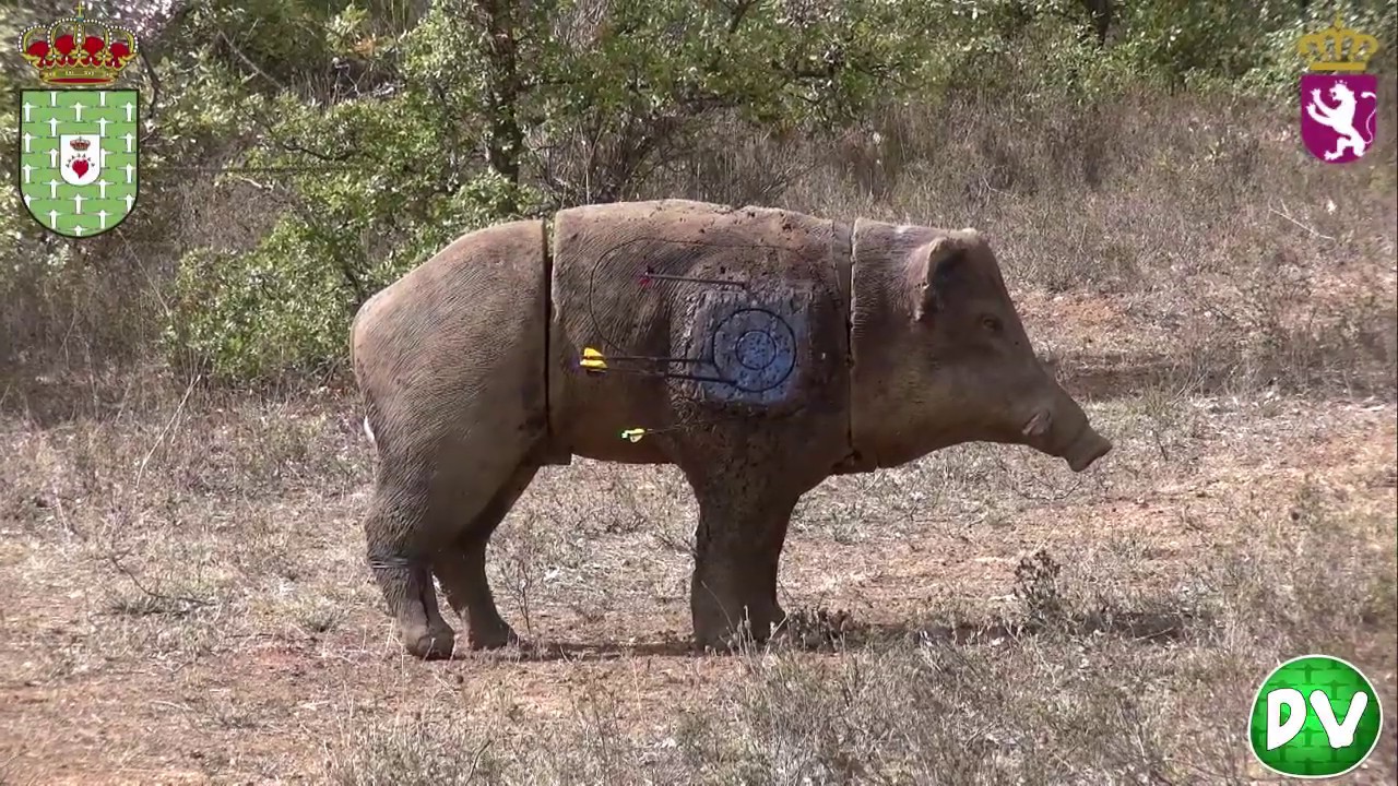 X Copa Diputación Tiro con Arco 3D - Doble V Televisión