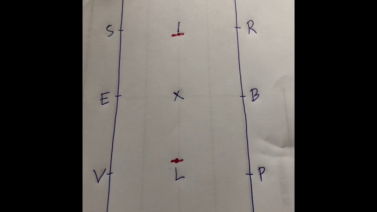 Dressage 3-loop serpentine