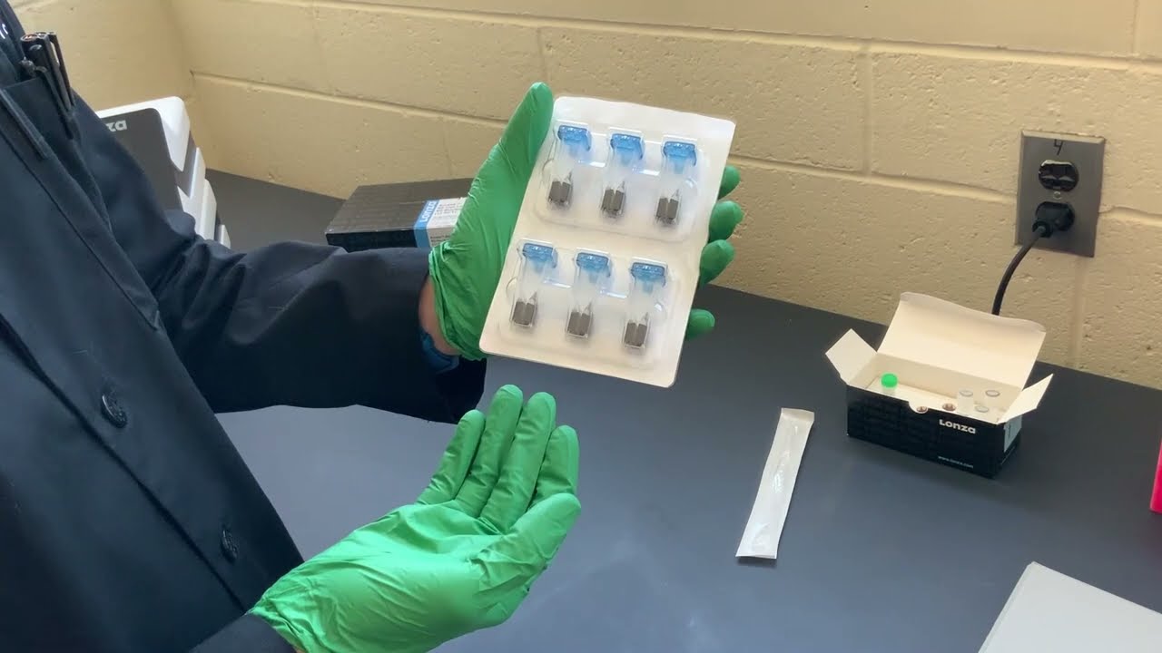 Lonza 4D-Nucleofector | MSU PHM/TOX Cell Culture Core
