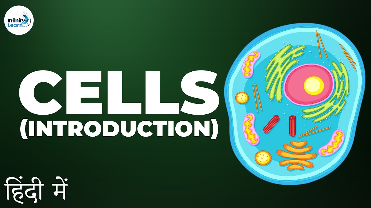 Cells | Introduction to Cells - in Hindi (हिंदी में ) | Infinity Learn