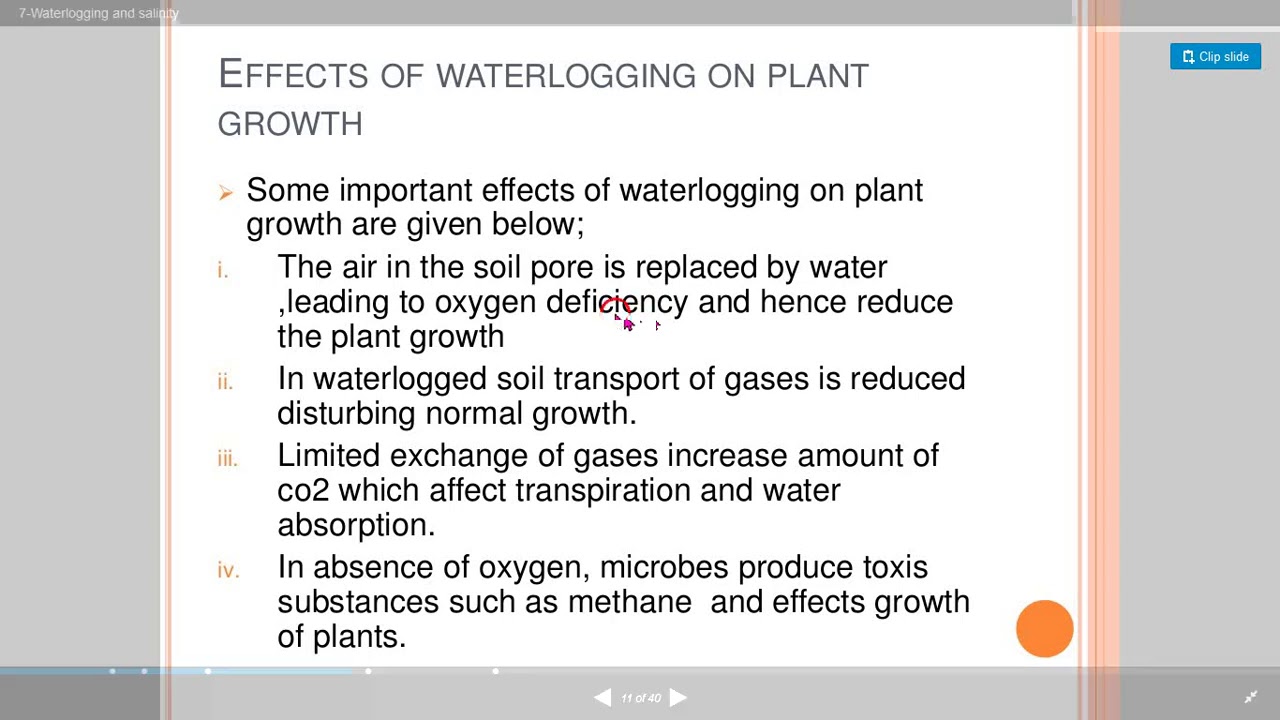 water logging (effects on plant growth)