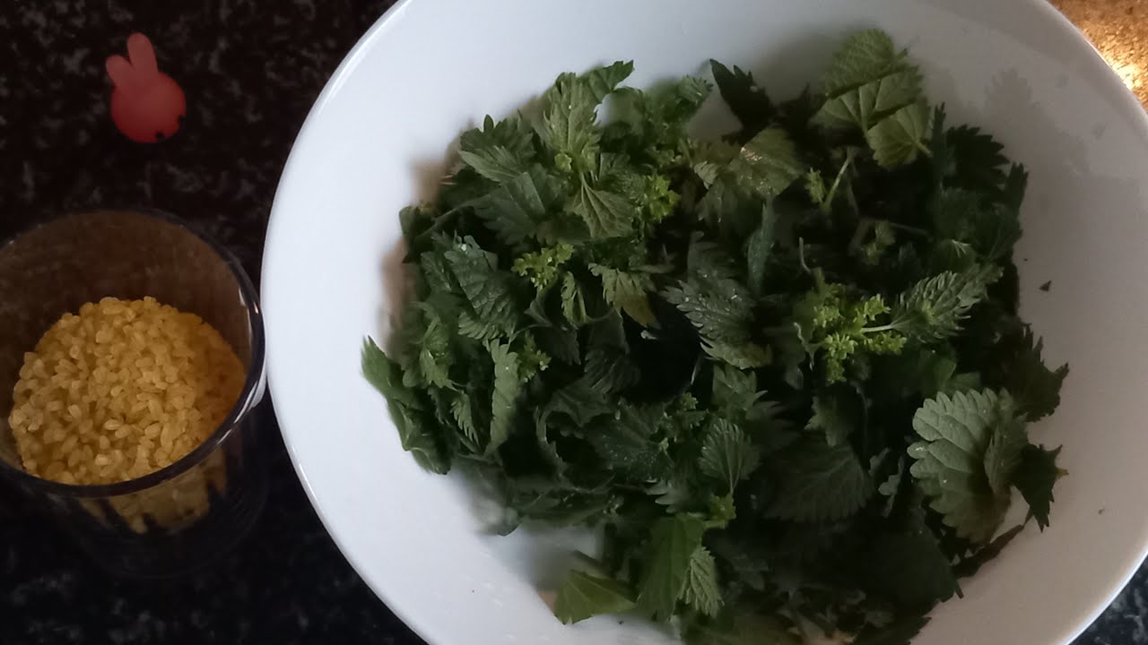 Nettle Soup with Yogurt