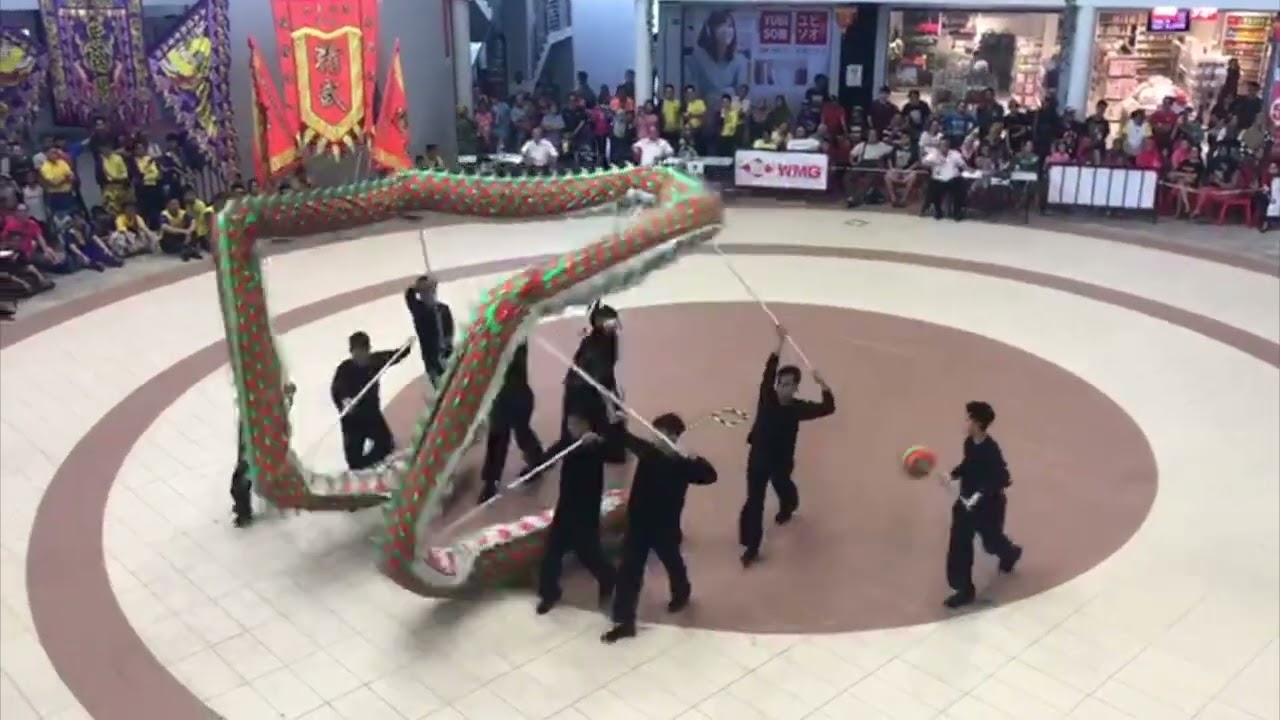 巴友金龙团简介